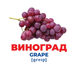 Геній з пелюшок. Фрукти та ягоди.Картки Домана