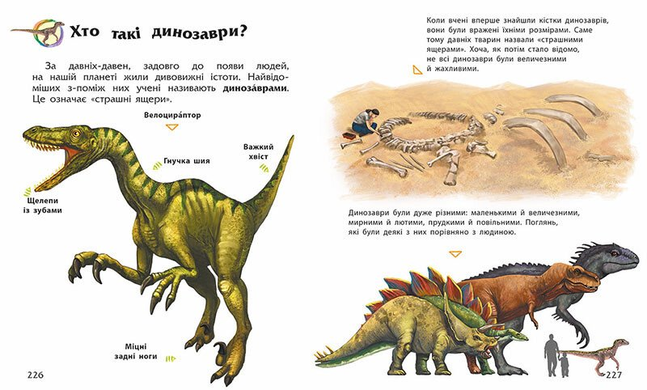 Книга Енциклопедія дошкільника (збірник)