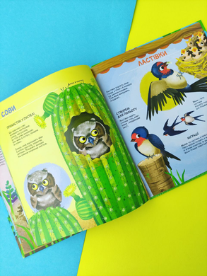 Дитяча Книга Як живуть крихітні створіння