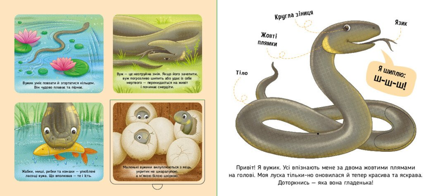 Книга Познайомся і погладь. Лісові тварини