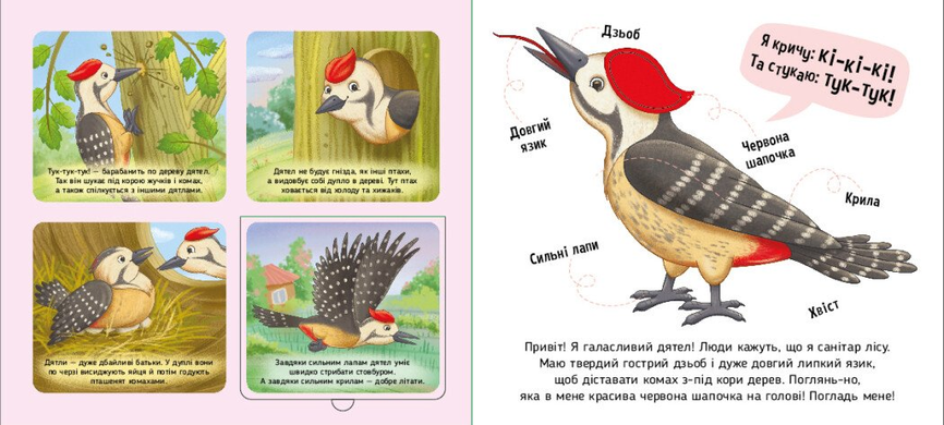 Книга Познайомся і погладь. Лісові тварини