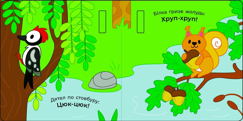 Книга Що чути... У лісі