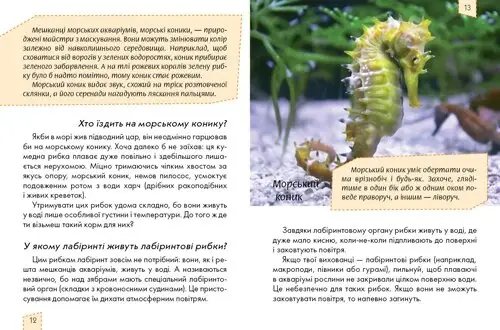Книга Енциклопедія. Домашні улюбленці