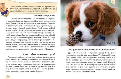 Книга Енциклопедія. Домашні улюбленці