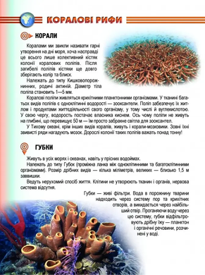 Мешканці морів та океанів