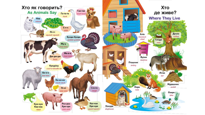 Книга Перший словник малюка. 500 слів