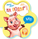 Книга На подвір&rsquo;ї. Перші звуки